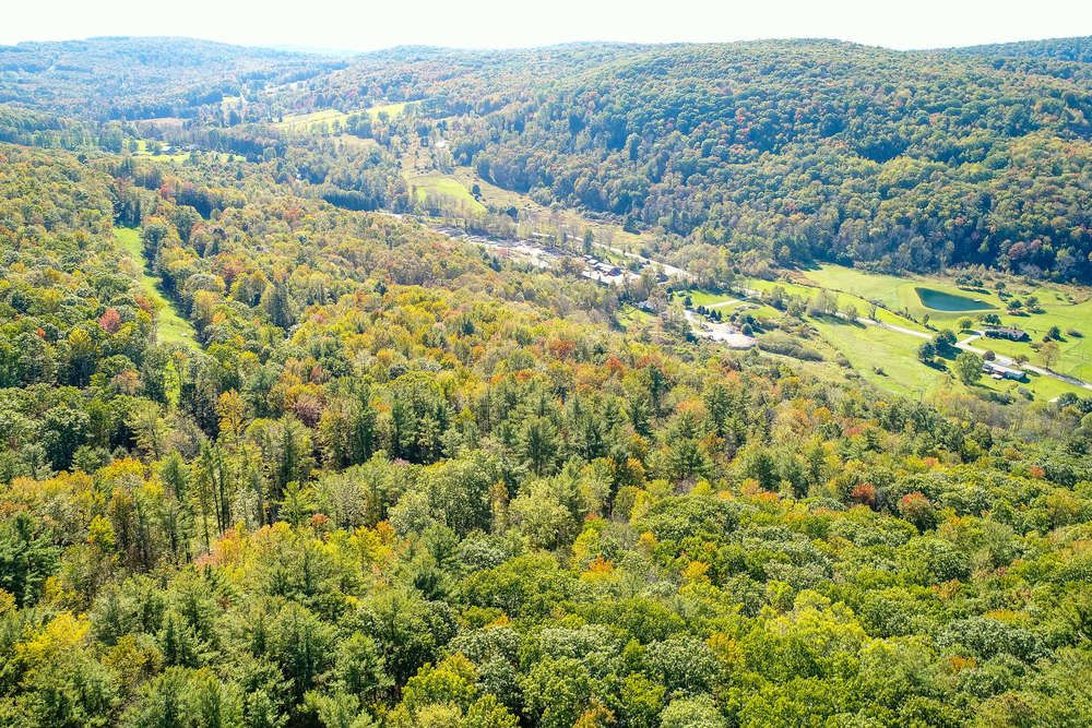 Prime Pennsylvania Bluestone Quarry Portfolio: 117 Jefferson St, Susquehanna County, PA 18847